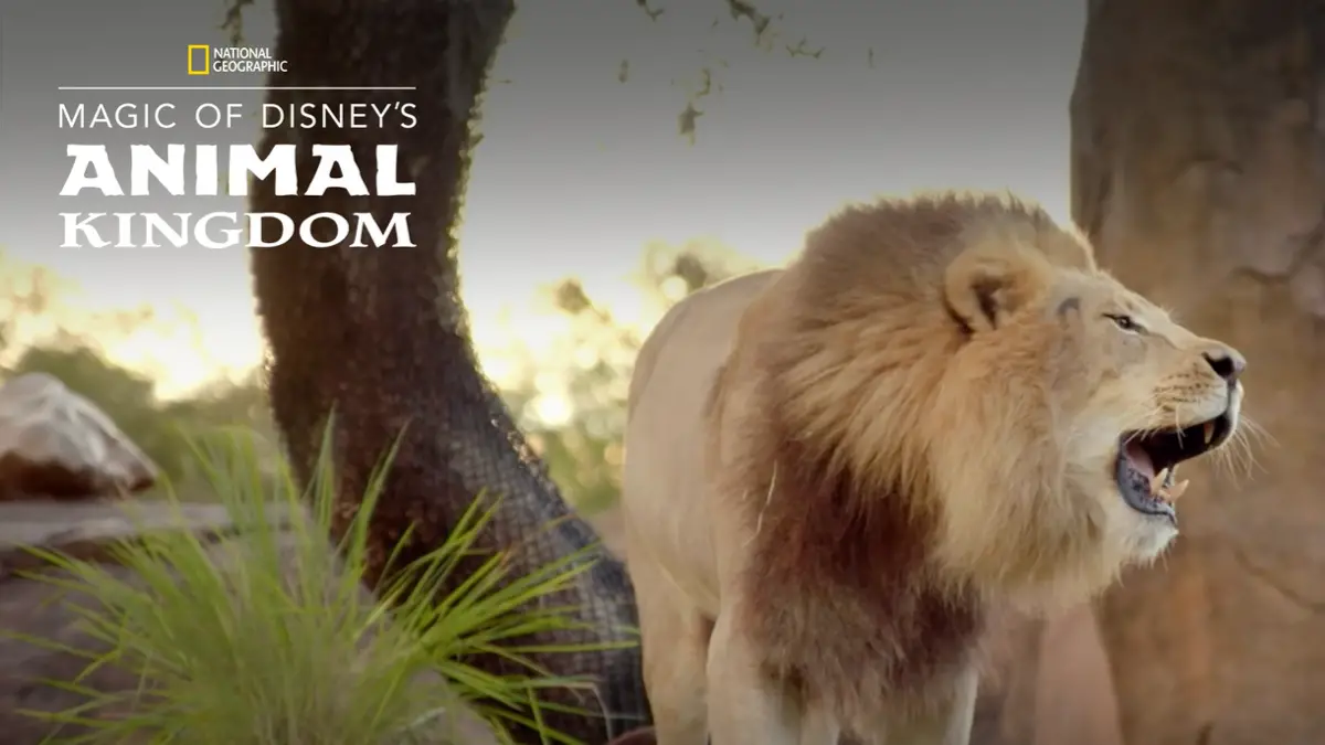 Get Your All-Access Pass To The Animal Kingdom! - The Honey POP