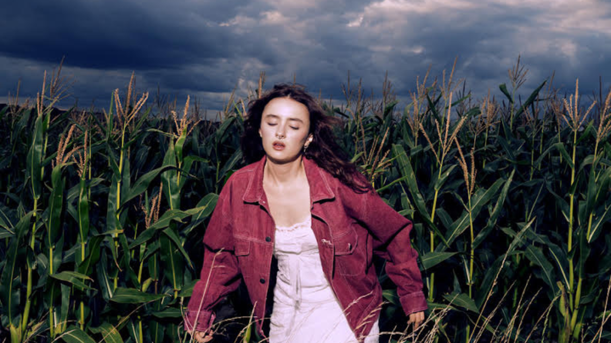 E P Roses Valencia Grace is Thriving With EP Roses - The Honey POP